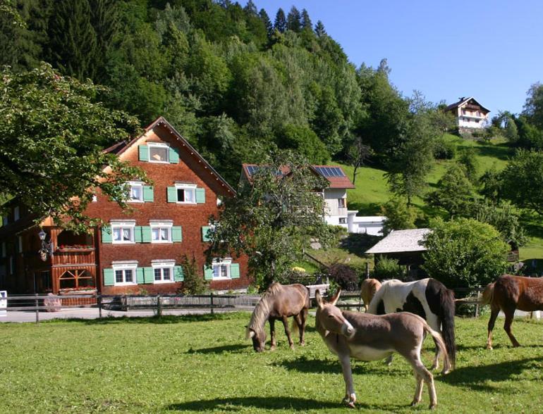 Hotel Gasthaus Schaefle Bürserberg Eksteriør billede